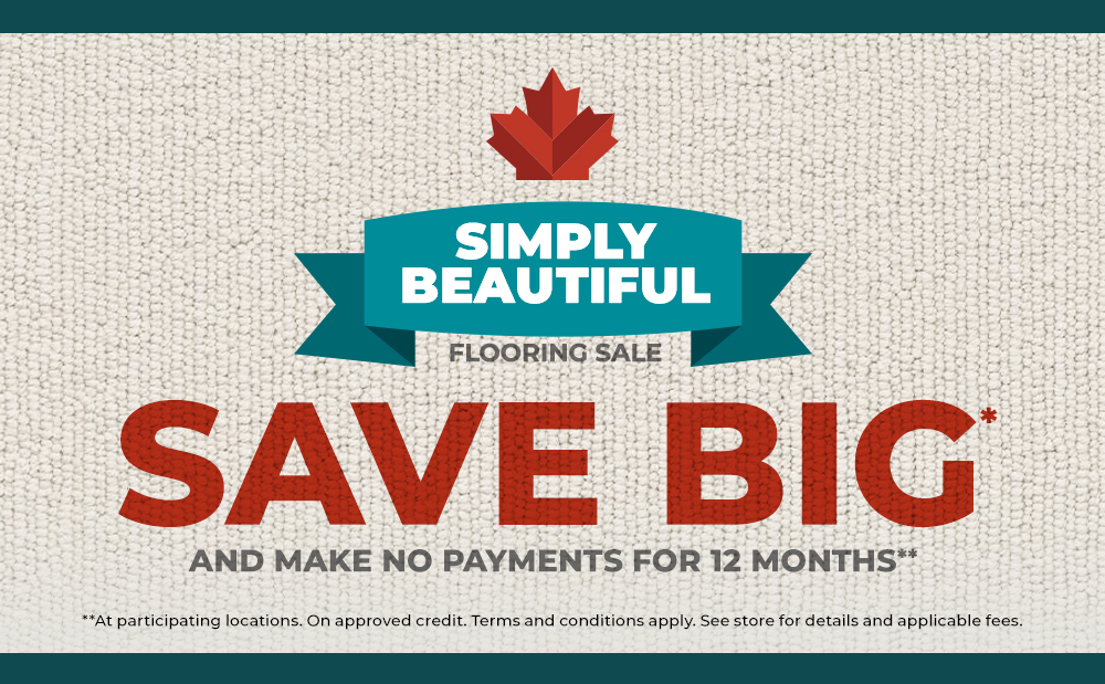 Save big* + Make no payments for 12 months**