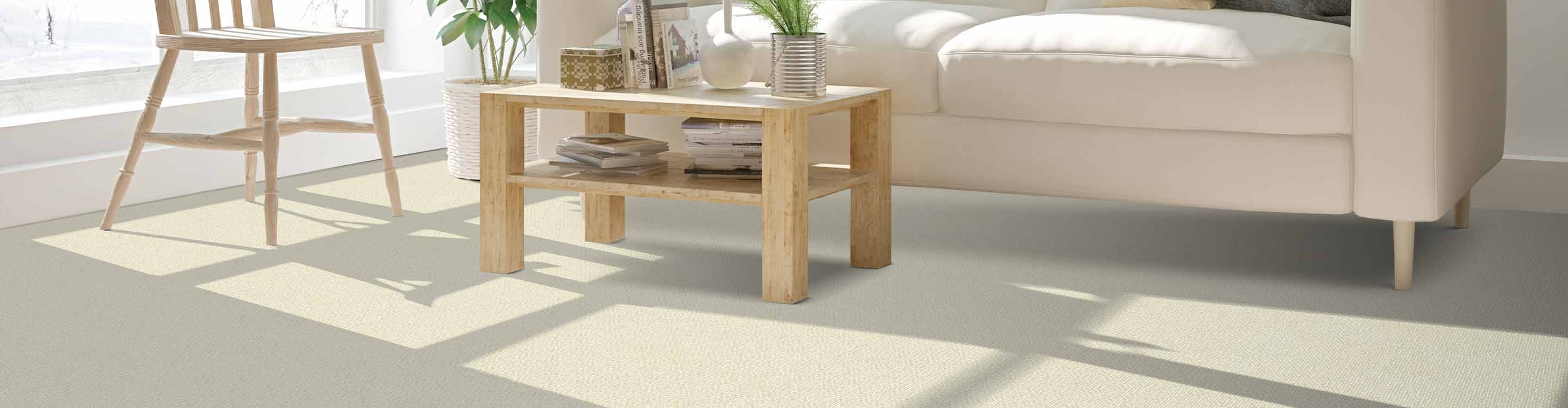 light colored carpet in bright living space